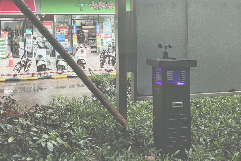 案例展示