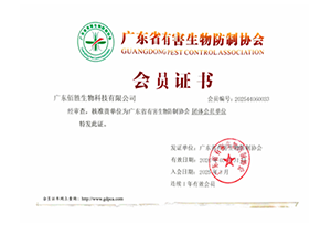 资质证书